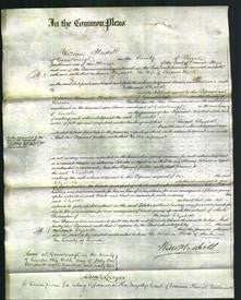 Court of Common Pleas - Elizabeth Revill-Original Ancestry