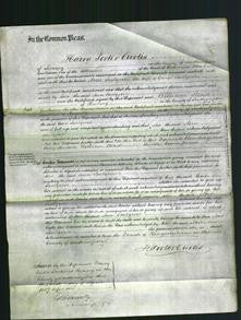 Court of Common Pleas - Ann Snelgrove-Original Ancestry