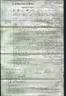 Court of Common Pleas - Sarah Ann Burton-Original Ancestry