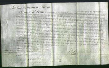 Court of Common Pleas - Mary Barnes Edwards and Mary Rice-Original Ancestry