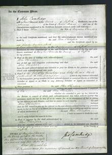 Court of Common Pleas - Ellen Thompson-Original Ancestry