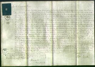 Court of Common Pleas - Ann Johns-Original Ancestry