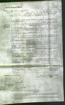 Court of Common Pleas - Mary Ann Garrard