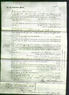 Court of Common Pleas - Sarah Hopkyns-Original Ancestry