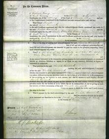 Court of Common Pleas - Charlotte Simmonds-Original Ancestry