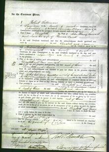 Court of Common Pleas - Elizabeth Seaward-Original Ancestry