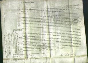 Court of Common Pleas - Ann Billinge-Original Ancestry