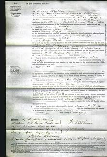 Court of Common Pleas - Mary Ann Griggs-Original Ancestry