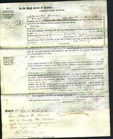 Court of Common Pleas - Anne Naughty-Original Ancestry