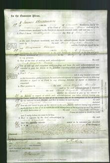 Court of Common Pleas - Anne Elizabeth Emeris-Original Ancestry