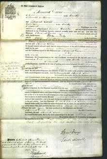 Court of Common Pleas - Mary Ann Salmon-Original Ancestry