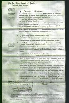 Court of Common Pleas - Catherine Cooper-Original Ancestry