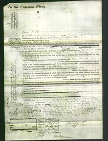 Court of Common Pleas - Ann Scarlett-Original Ancestry