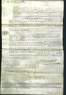 Court of Common Pleas - Mary Craghill-Original Ancestry