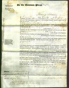 Court of Common Pleas - Sarah Hawkins-Original Ancestry