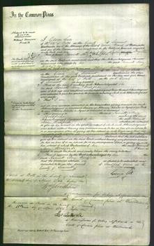 Court of Common Pleas - Harriett Mary Woodforde-Original Ancestry