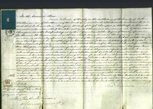 Court of Common Pleas - Ann Thompson-Original Ancestry