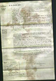 Court of Common Pleas - Mary Ann Catherine Groom-Original Ancestry