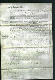 Court of Common Pleas - Sarah Ryley Thompson-Original Ancestry