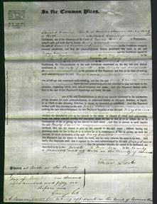 Court of Common Pleas - Mary Emma Fisher-Original Ancestry