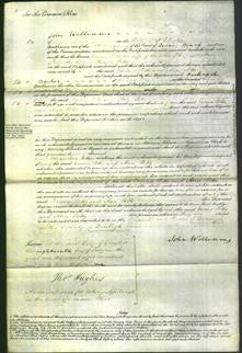 Court of Common Pleas - Emma Potts and Ann Potts-Original Ancestry