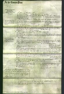 Court of Common Pleas - Harriet Sutton-Original Ancestry