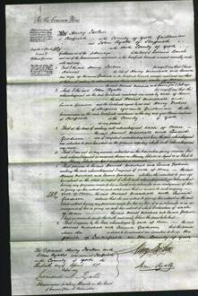 Court of Common Pleas - Harriet Marshall and Emma Goodison-Original Ancestry