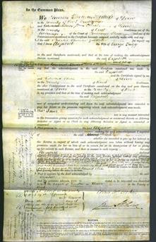 Court of Common Pleas - Elizabeth Fagg-Original Ancestry