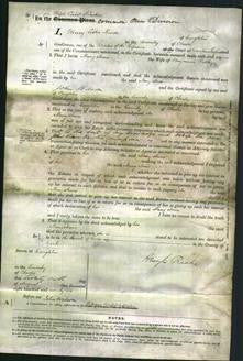 Court of Common Pleas - Mary Ann Radley-Original Ancestry