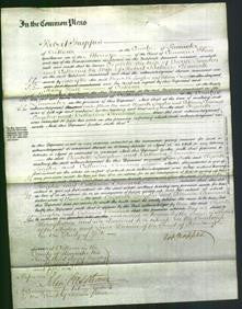 Court of Common Pleas - Elizabeth Langton and Catherine Tommas-Original Ancestry