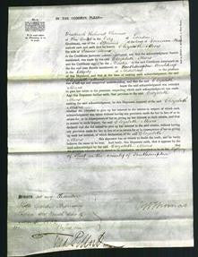 Court of Common Pleas - Elizabeth Meers-Original Ancestry