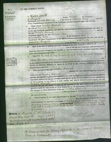 Court of Common Pleas - Martha Hannah Hughes-Original Ancestry