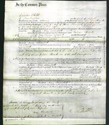 Court of Common Pleas - Mary Bloomfield-Original Ancestry