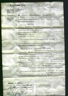 Court of Common Pleas - Hannah Berryman-Original Ancestry