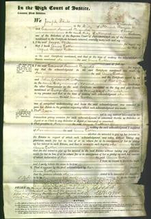 Court of Common Pleas - Anne Esther Fuller-Original Ancestry