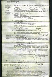 Court of Common Pleas - Betty Parker-Original Ancestry