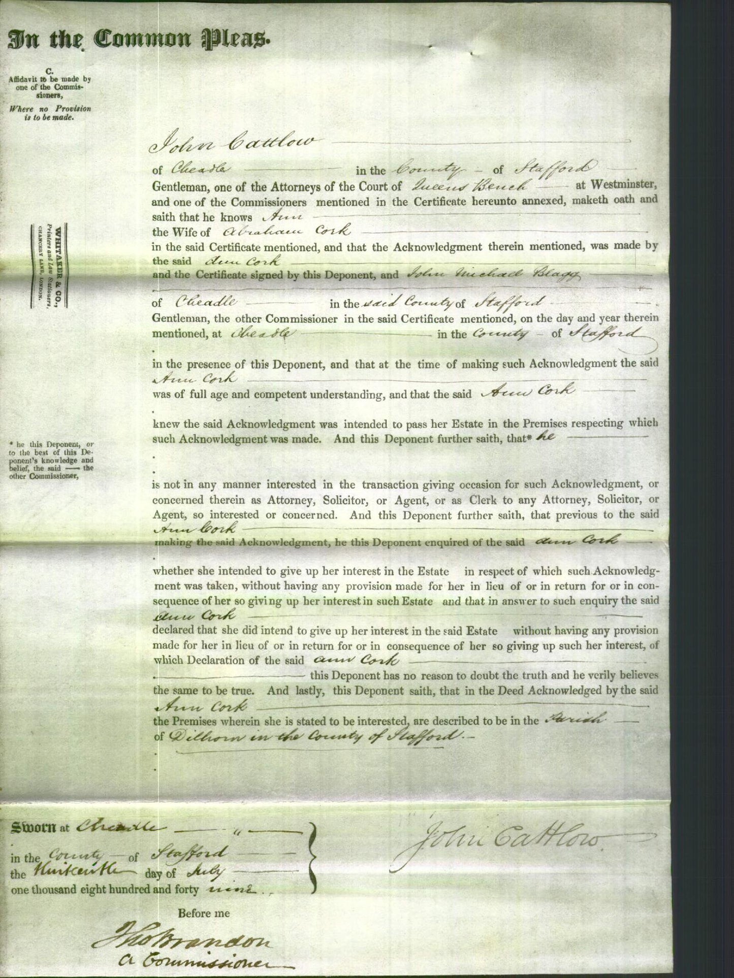 Court of Common Pleas - Ann Cork