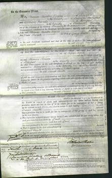 Court of Common Pleas - Sarah Smith-Original Ancestry