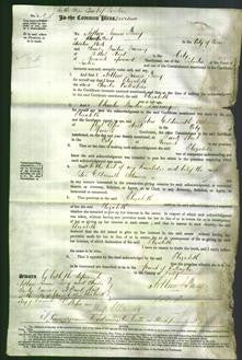 Court of Common Pleas - Elizabeth Cullabone-Original Ancestry