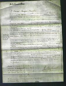 Court of Common Pleas - Martha Pruett-Original Ancestry