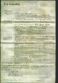 Court of Common Pleas - Frances Dixon-Original Ancestry