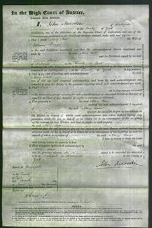 Court of Common Pleas - Mary Ann Briggs-Original Ancestry