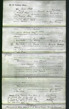 Court of Common Pleas - Harriet Dorning-Original Ancestry