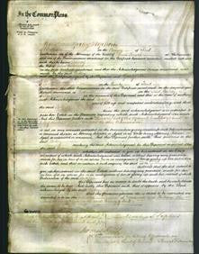 Court of Common Pleas - Betsey Gale-Original Ancestry