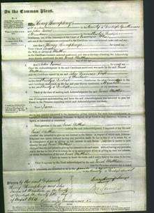 Court of Common Pleas - Sarah Matthias-Original Ancestry