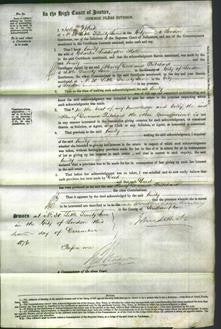 Court of Common Pleas - Emily Hall-Original Ancestry