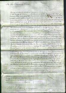 Court of Common Pleas - Jane Taylor Lees-Original Ancestry