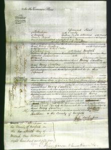 Court of Common Pleas - Mary Swallow-Original Ancestry