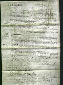 Court of Common Pleas - Margaret Padget-Original Ancestry