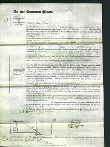 Court of Common Pleas - Louisa Elizabeth Penson-Original Ancestry